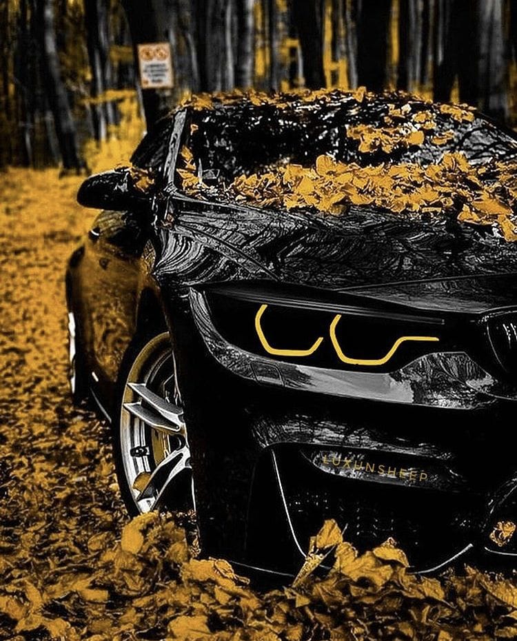 Программа ASSISTANCE 11 Иван Луцюк