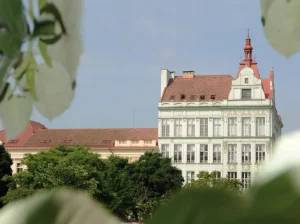 Institut finansov i upravleniya