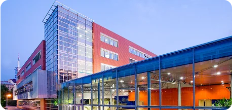 vse foundation