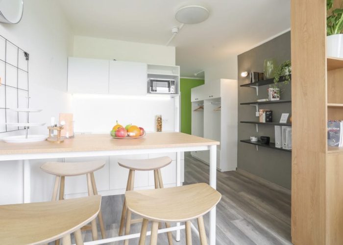 kuhnya-v-obshhezhitii-v-chehii